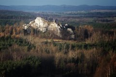 Pojedyncze