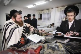 Chasydzi w Lelowie 2012