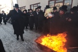 Chasydzi w Lelowie 2012