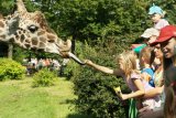 W chorzowskim ZOO