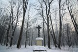 Pszczyna zimą