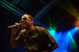 Reggae Day Festival 2011