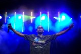 Reggae Day Festival 2011